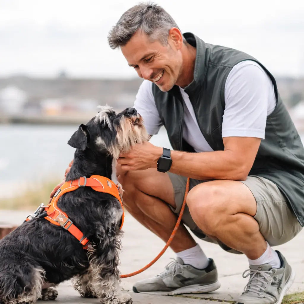 maitre qui caresse son chien  Image