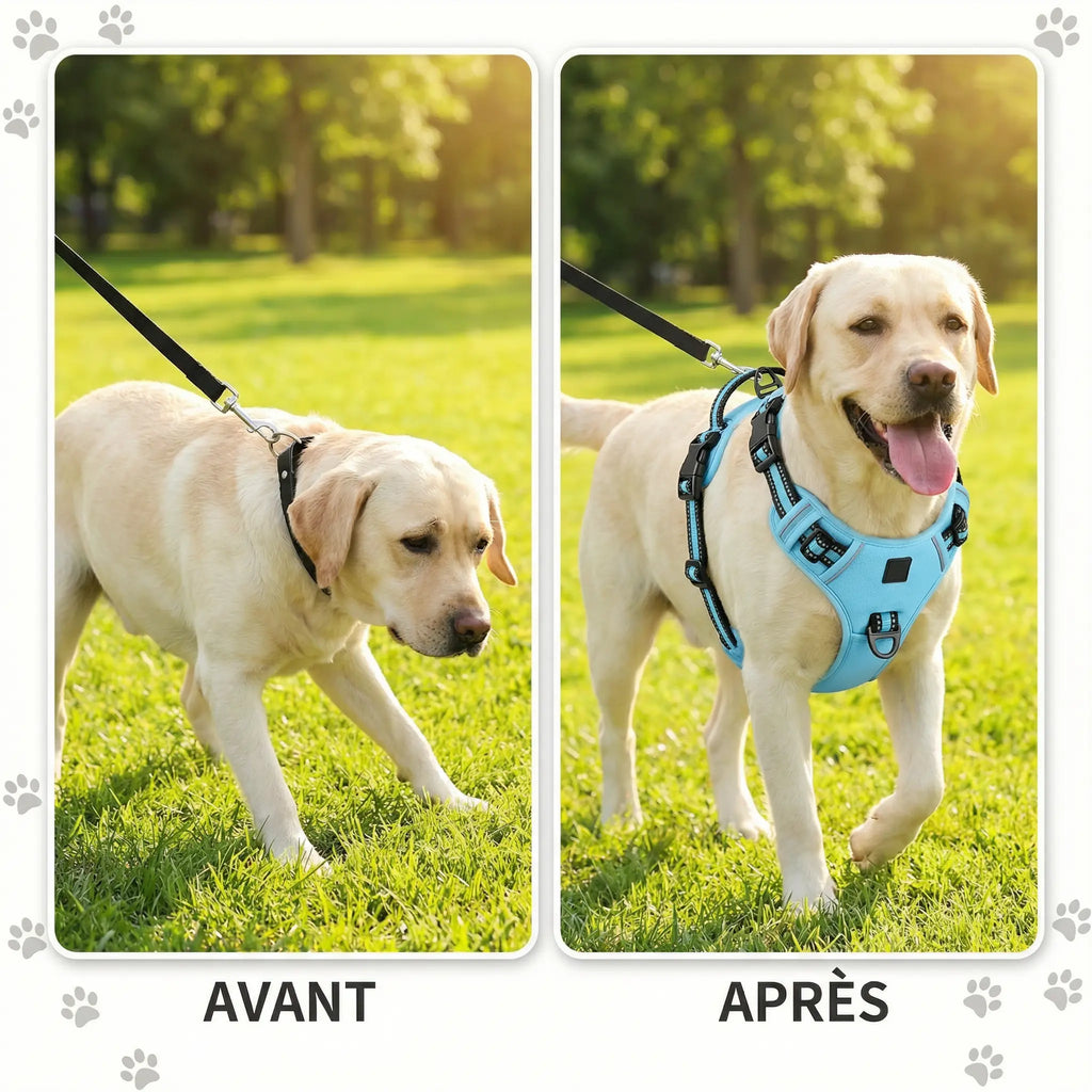 Harnais chien -  ajustable & anti-traction