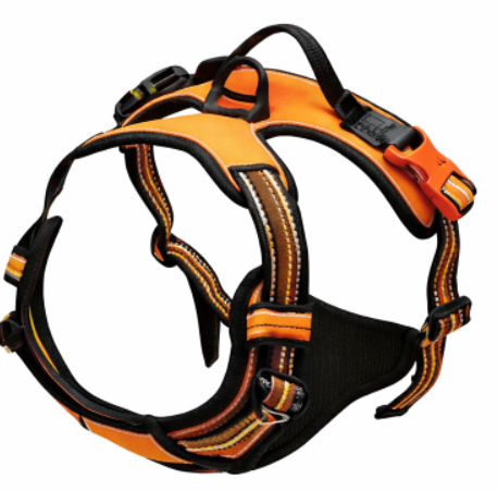 Harnais chien en Y pour promenade
