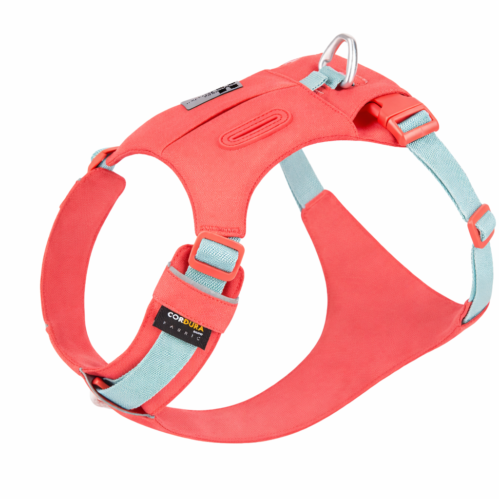 Harnais pour chien - Léger