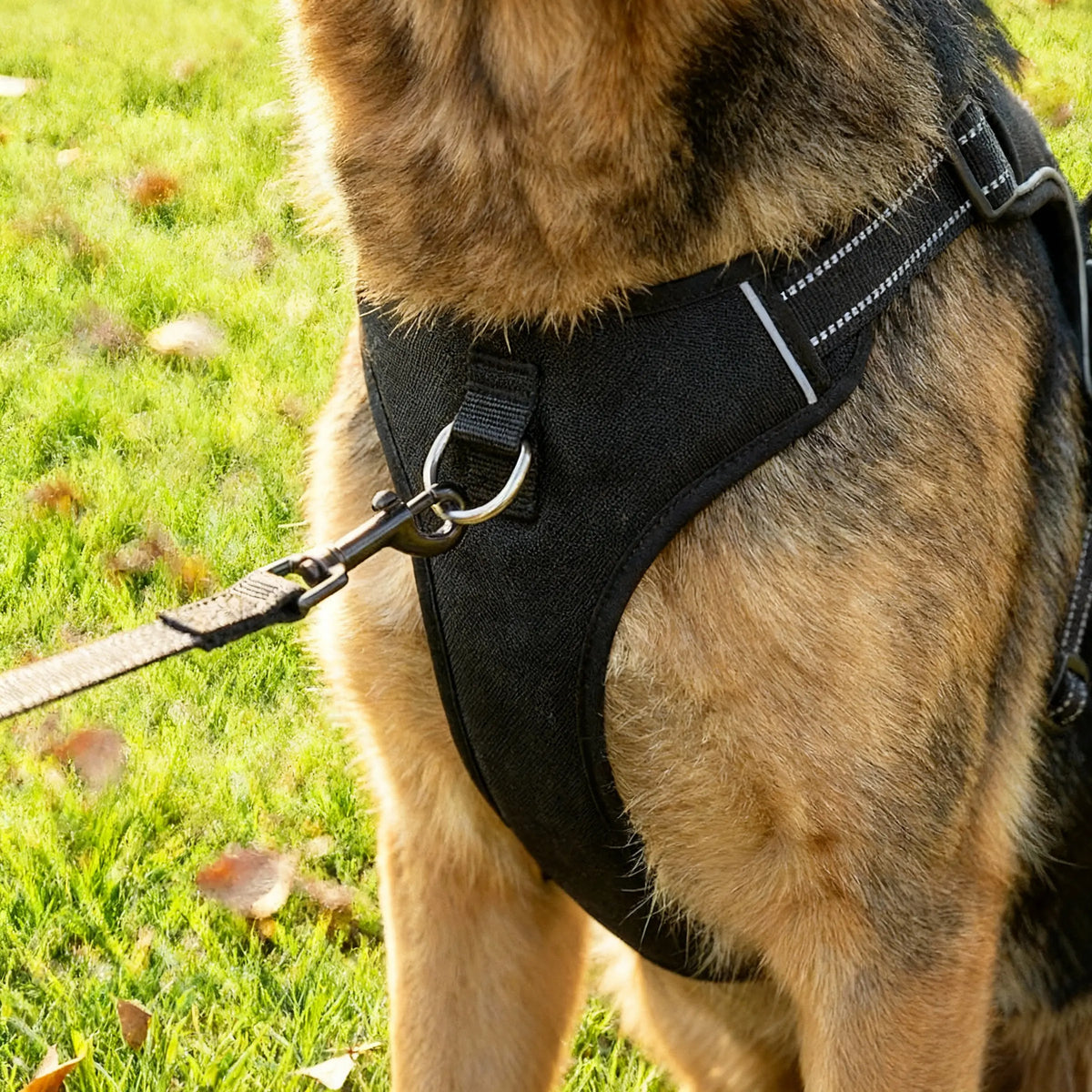 harnais anti-traction noir pour chien