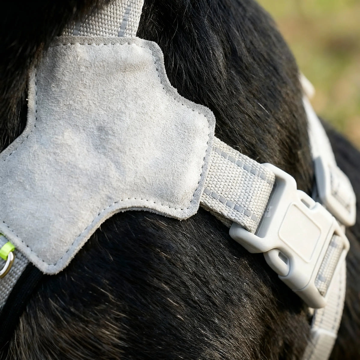 Harnais anti-traction pour chien - en Y