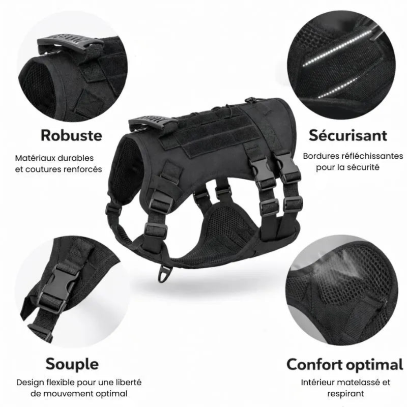 Harnais pour chien anti-traction - Randonnée