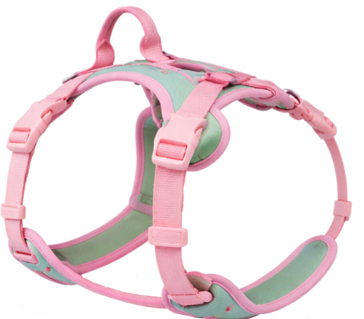 harnais rose pour chien sur fond blanc 