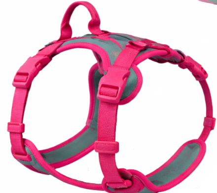 harnais pour chien rouge 