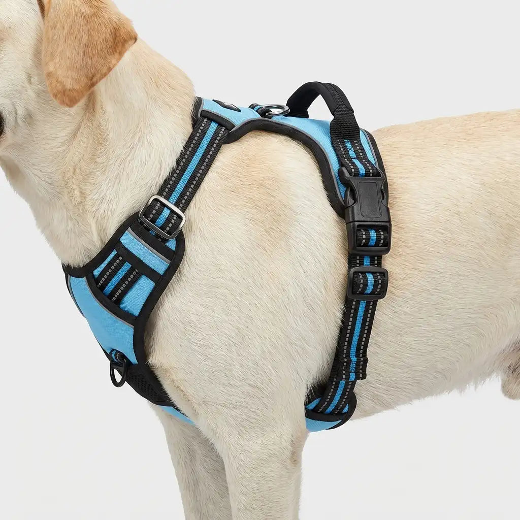 Harnais anti-traction pour chien & confortable