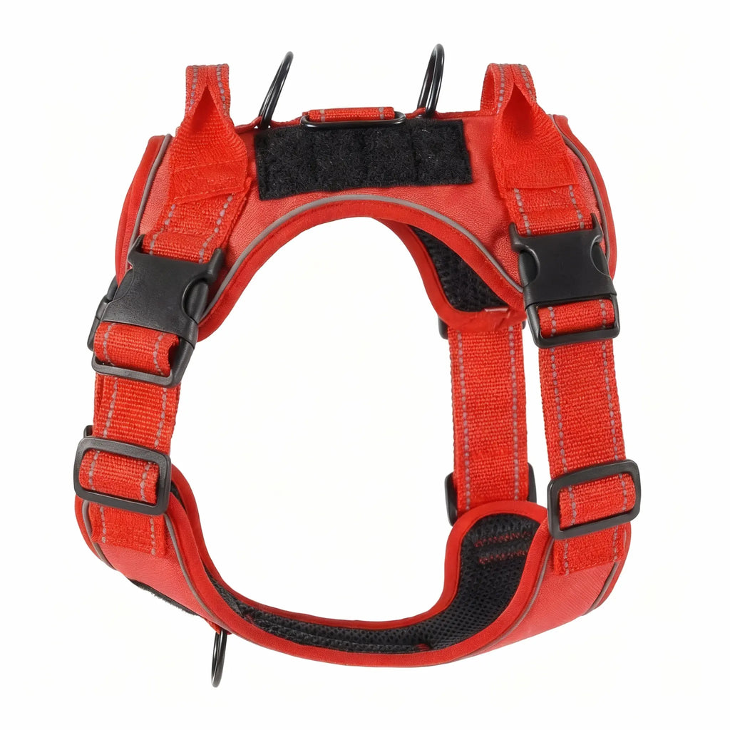 harnais en H rouge et noir