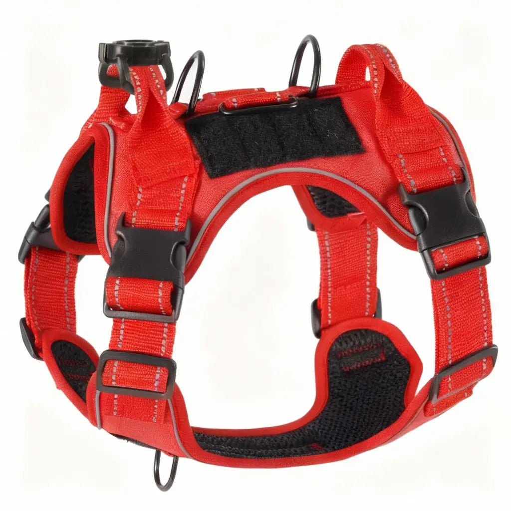 harnais chien 3 points 