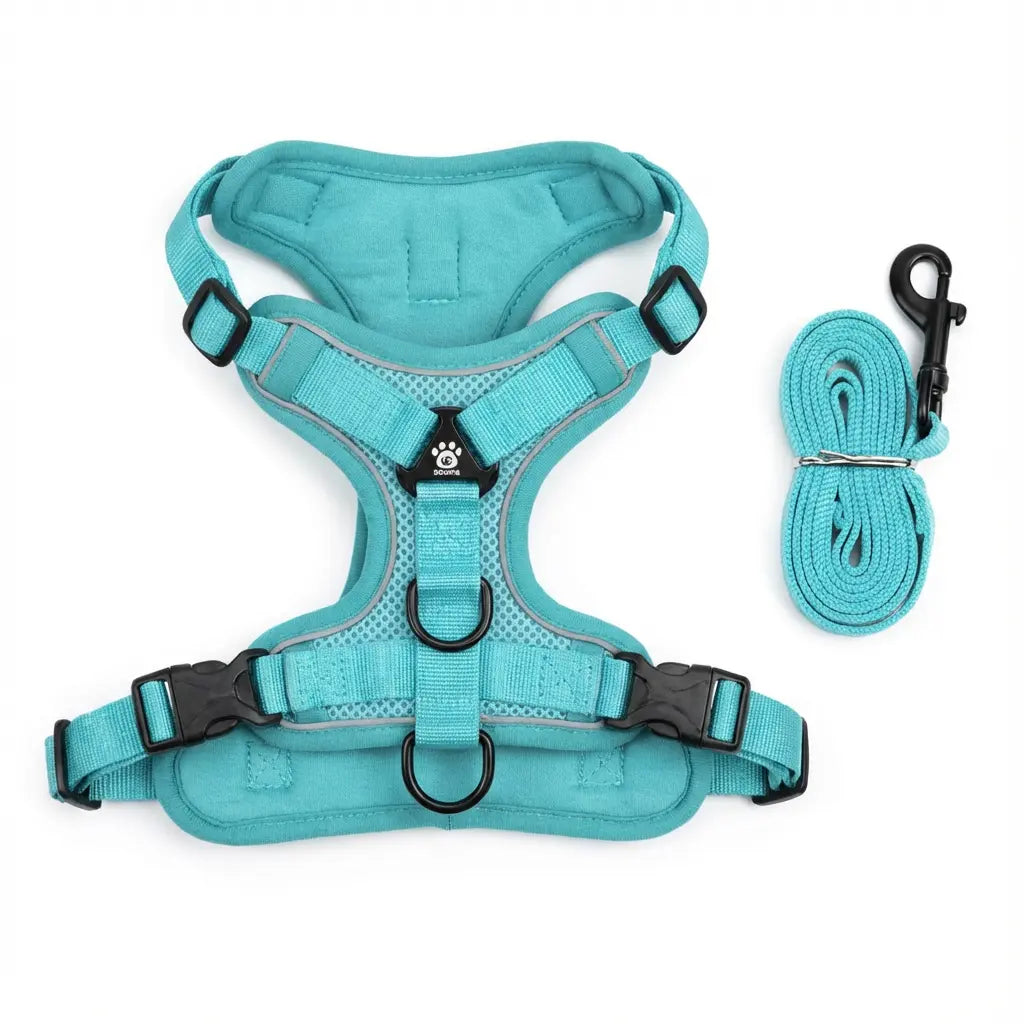 harnais pour chien bleu turquoise sur fond blanc 