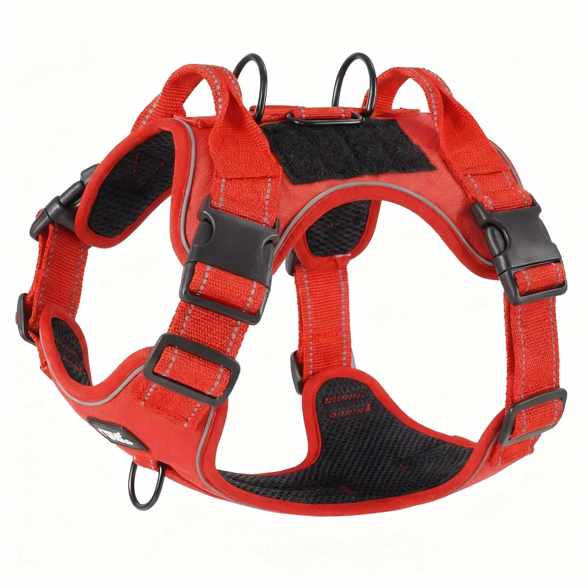Harnais grand chien rouge et noir sur fond blanc