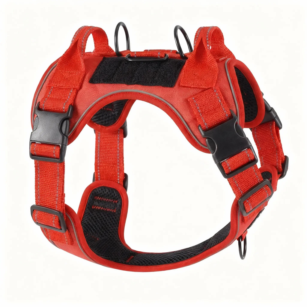 harnais grand chien rouge et noir