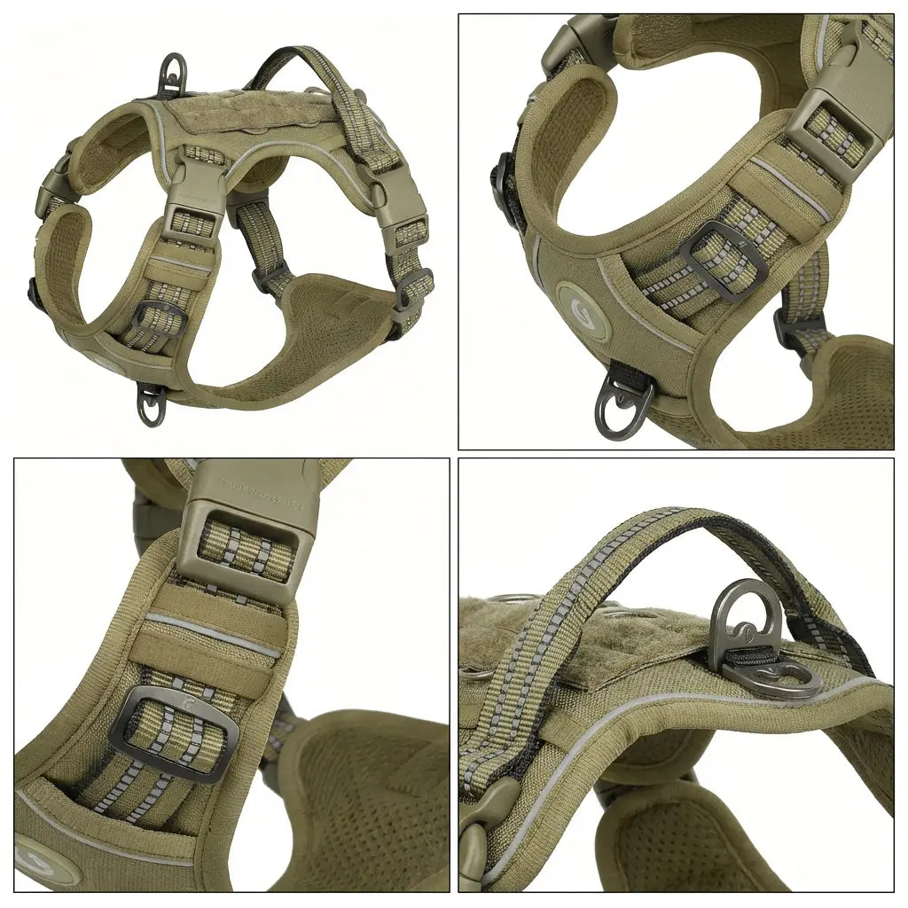 Harnais pour grand chien - anti-traction