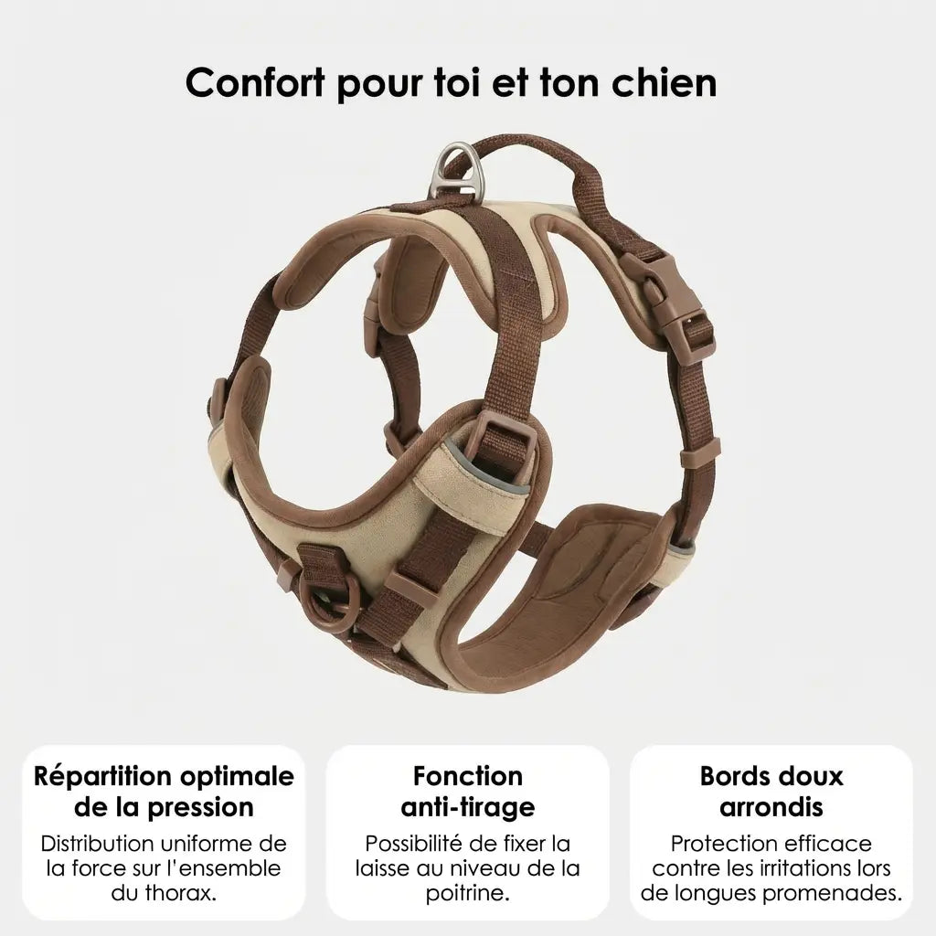 Harnais pour chien - Ajustable