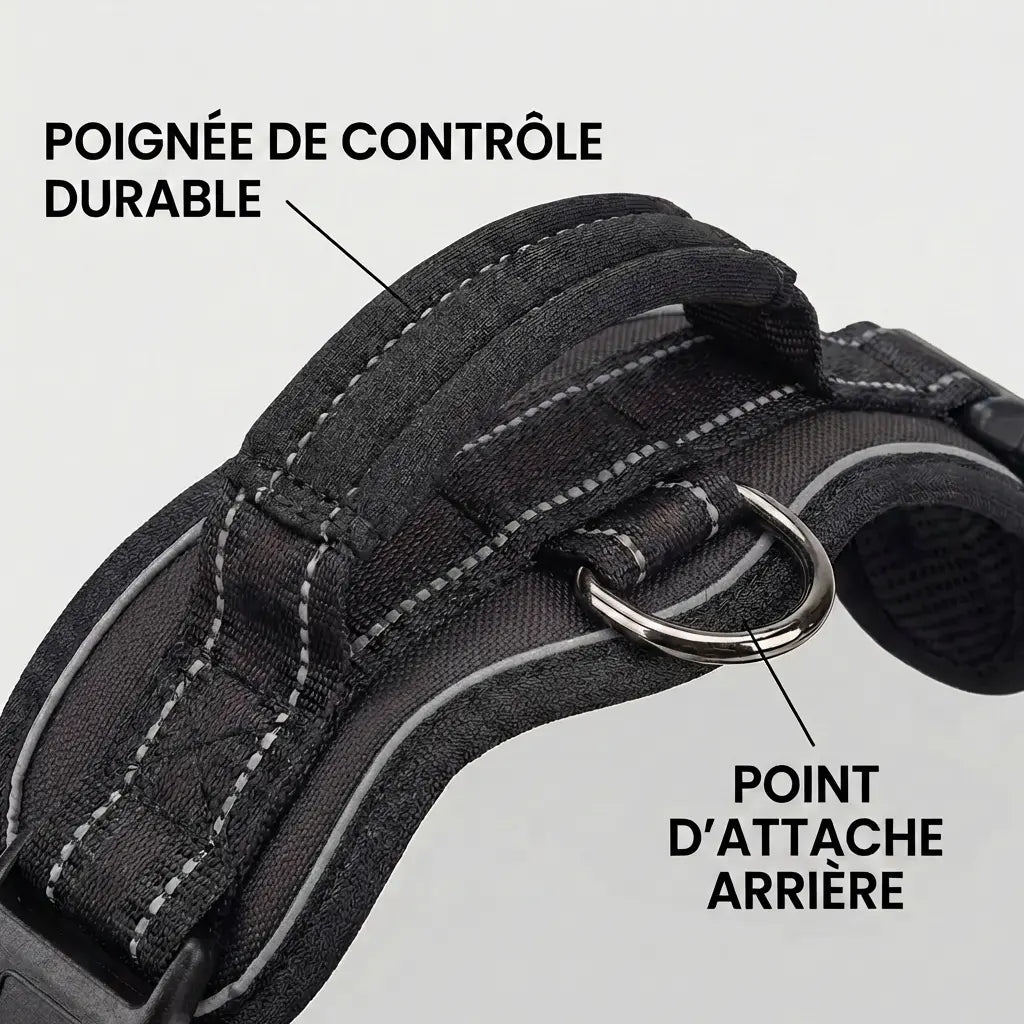 Harnais pour chien - anti-traction & promenade