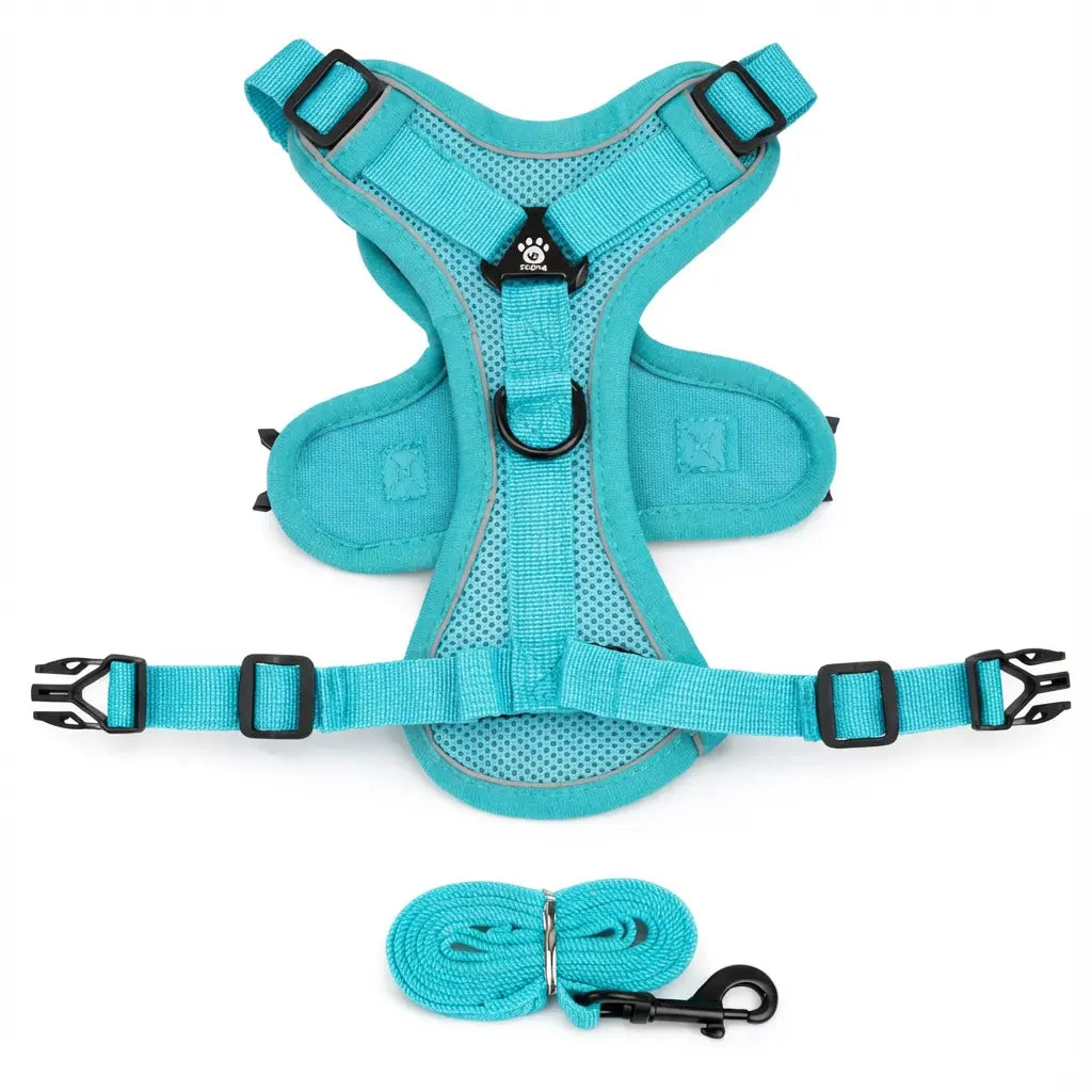 Harnais chien bleu turquoise en Y 