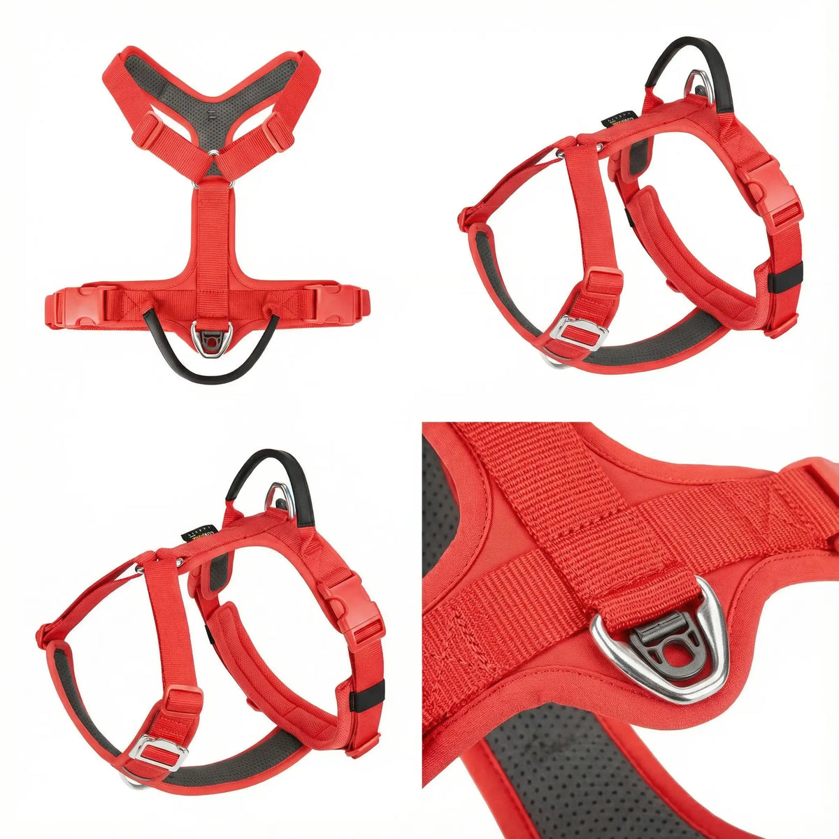 Harnais pour chien en Y - Anti-traction