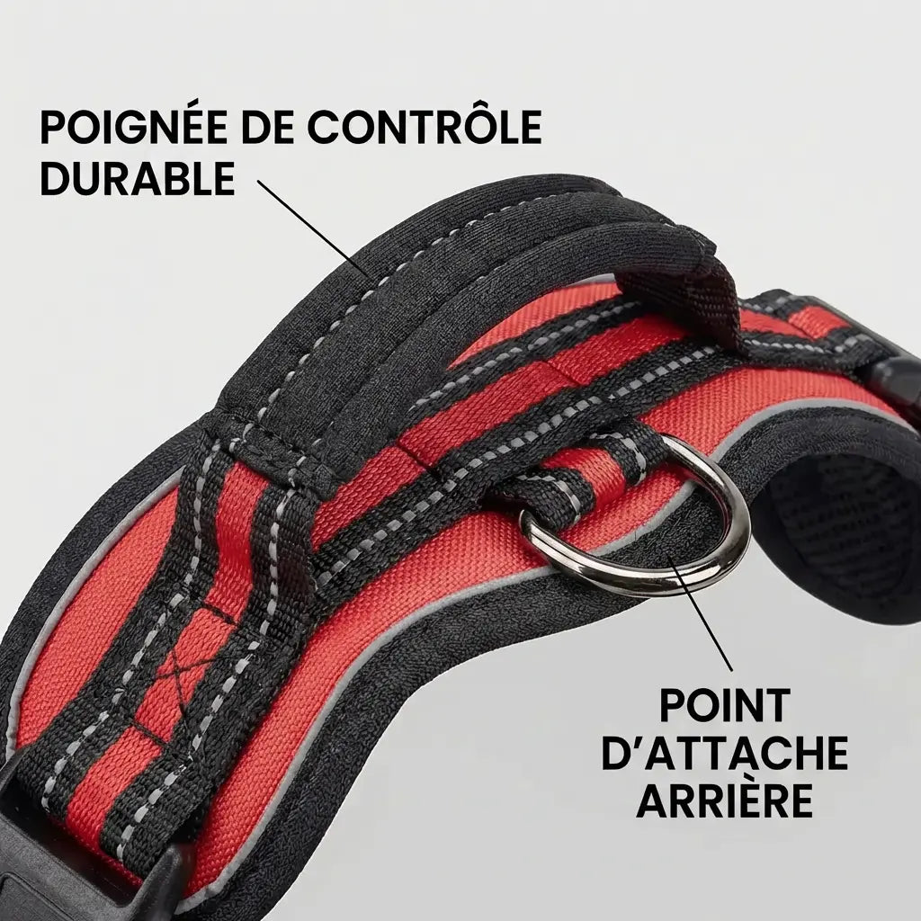 Harnais anti-traction pour chien & confortable
