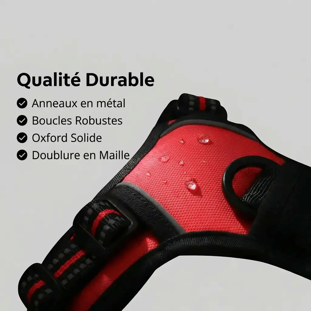Harnais anti-traction pour chien & confortable