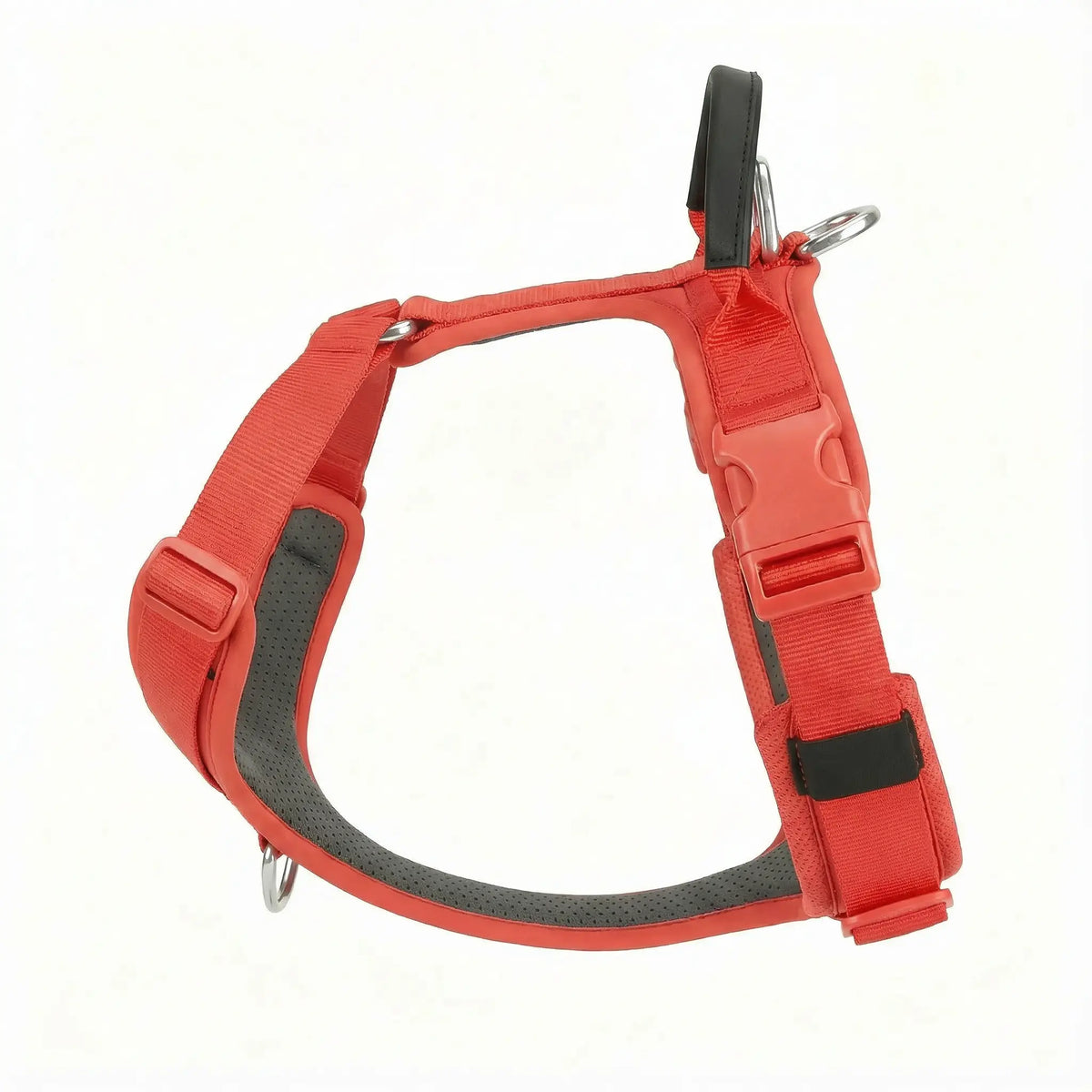 harnais rouge pour grand chien rouge sur fond blanc 