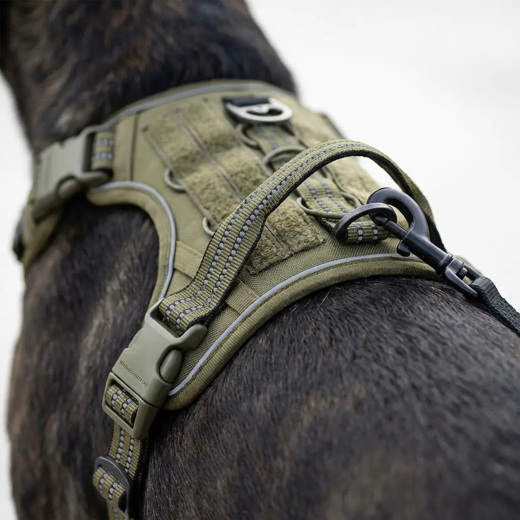 Harnais pour grand chien - anti-traction