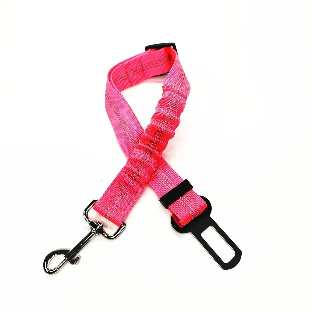 Ceinture de sécurité ajustable pour chien