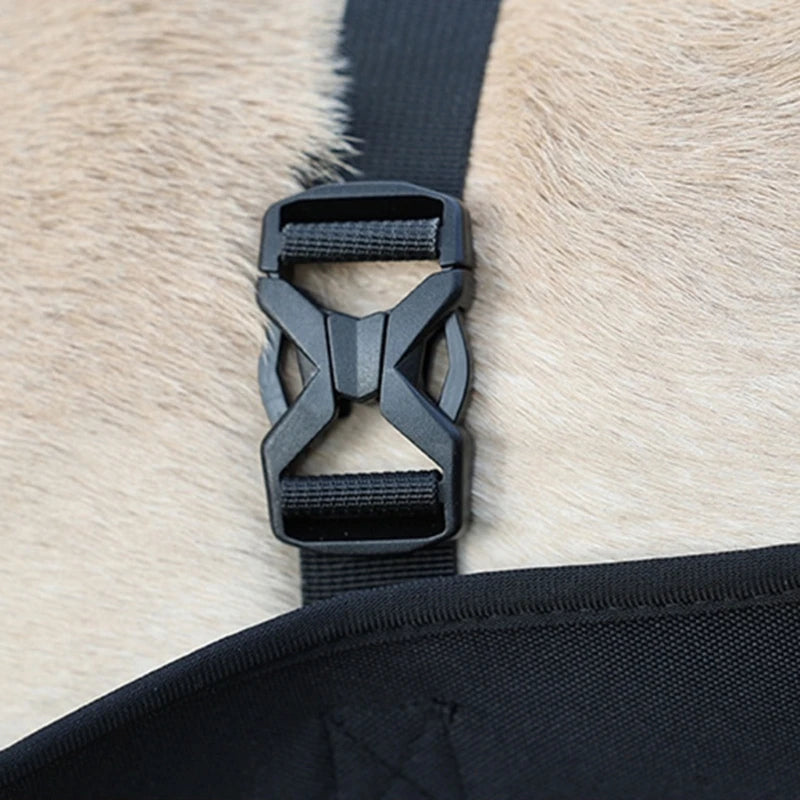Harnais pour chien handicapé