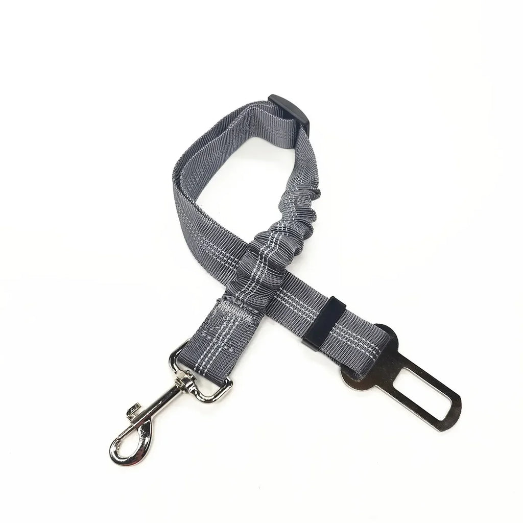 Ceinture de sécurité ajustable pour chien