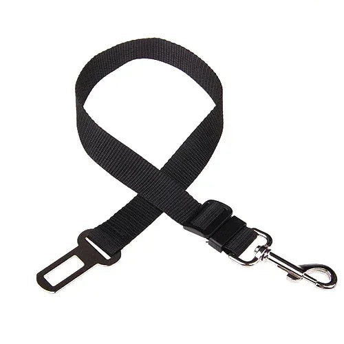 Ceinture de sécurité ajustable pour chien