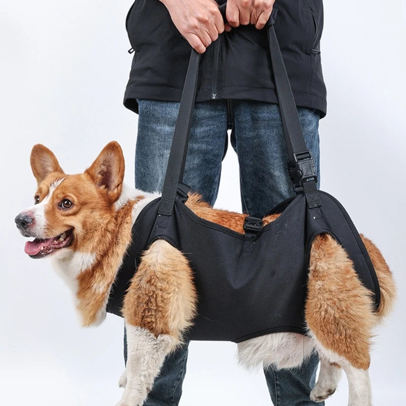 Harnais pour chien handicapé