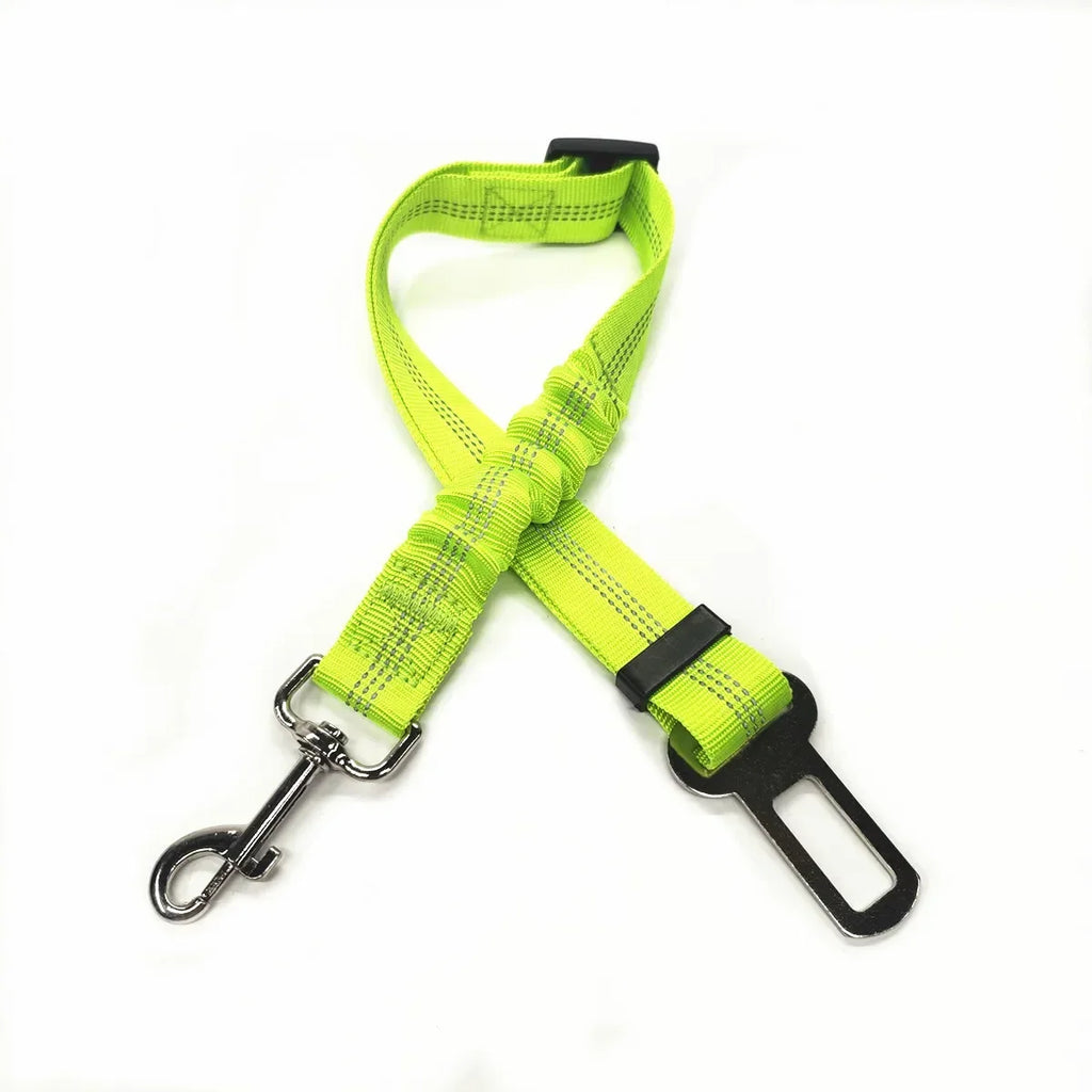 Ceinture de sécurité ajustable pour chien