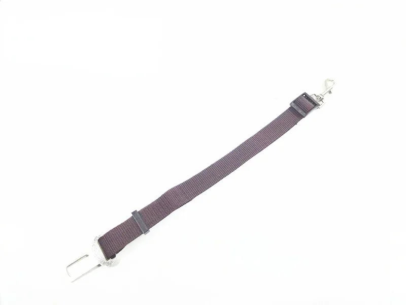 Ceinture de sécurité ajustable pour chien