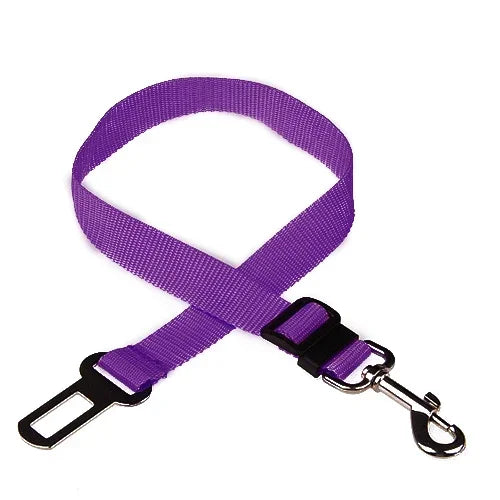 Ceinture de sécurité ajustable pour chien