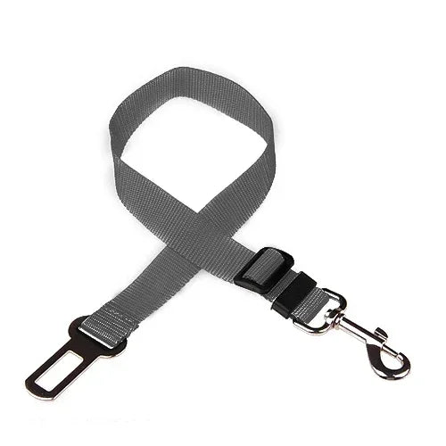 Ceinture de sécurité ajustable pour chien