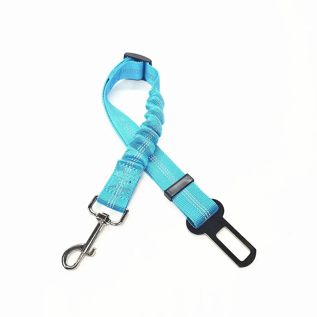 Ceinture de sécurité ajustable pour chien