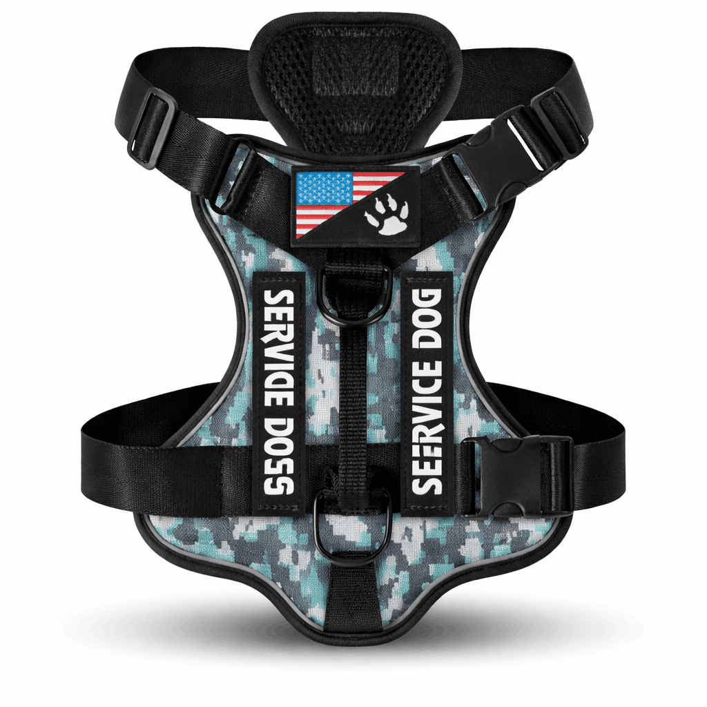 Harnais pour chien randonnée - Avec système de maintien renforcé