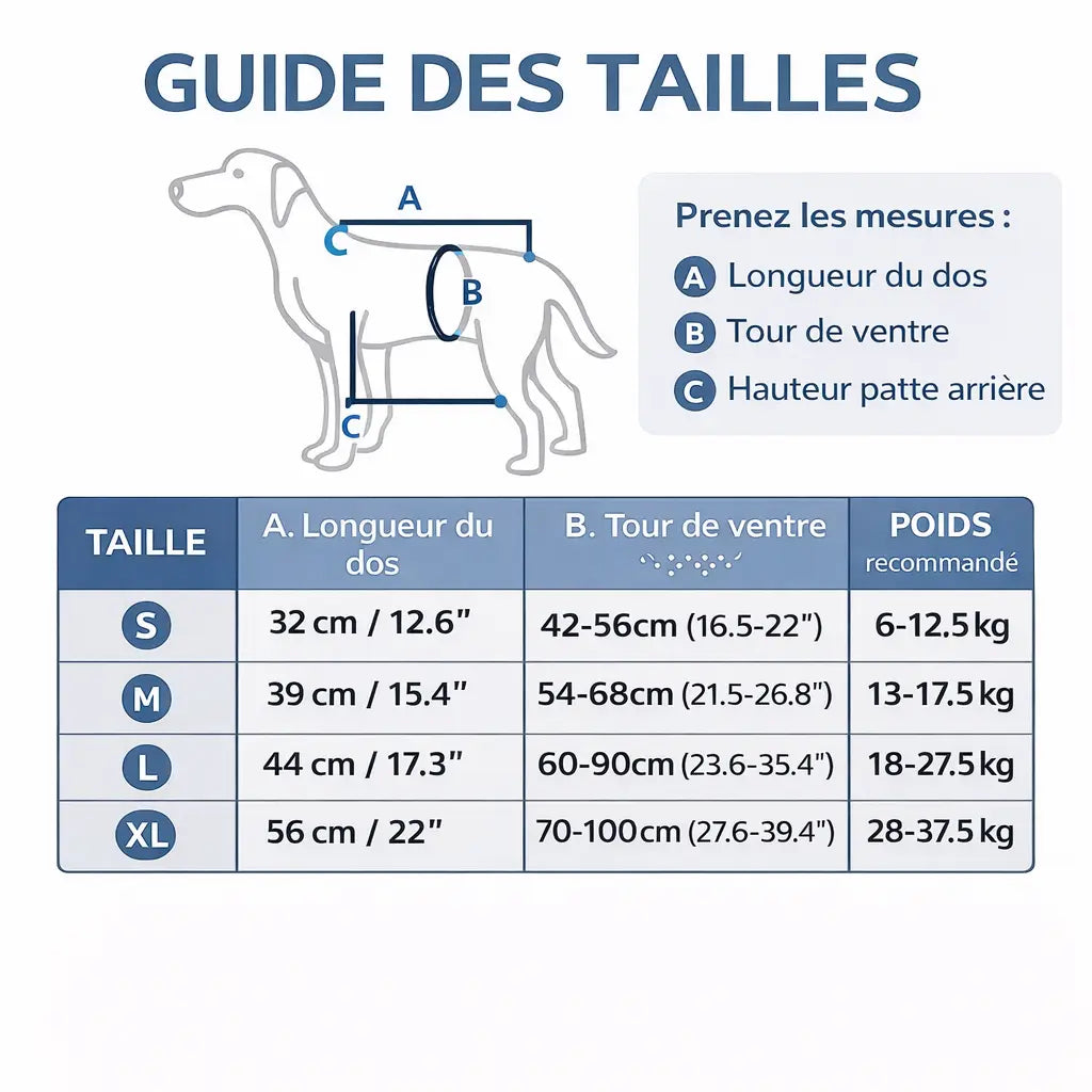Harnais pour chien handicapé