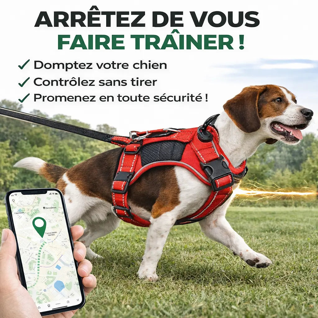Harnais pour chien - avec système de géolocalisation