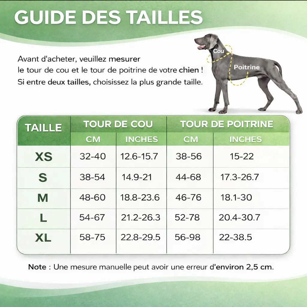 Harnais 3 points pour chien