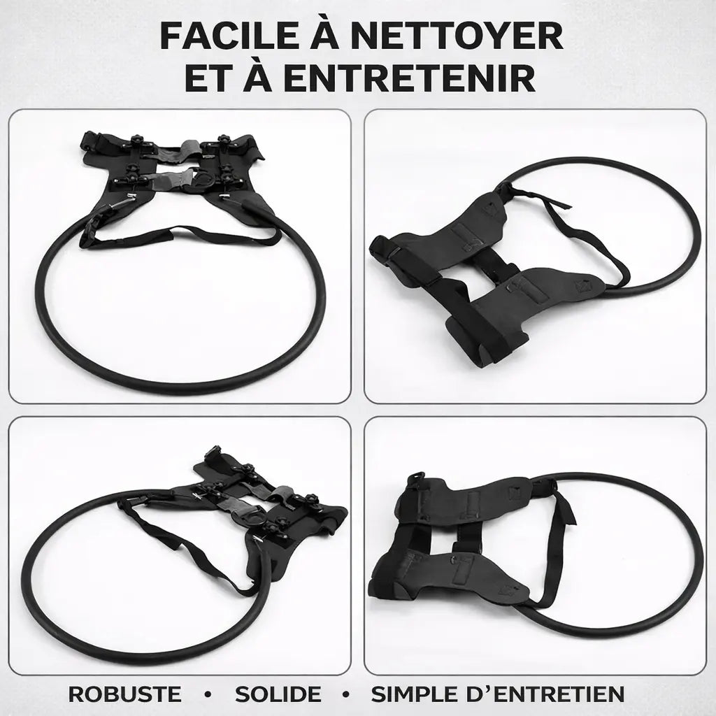 Harnais chien aveugle