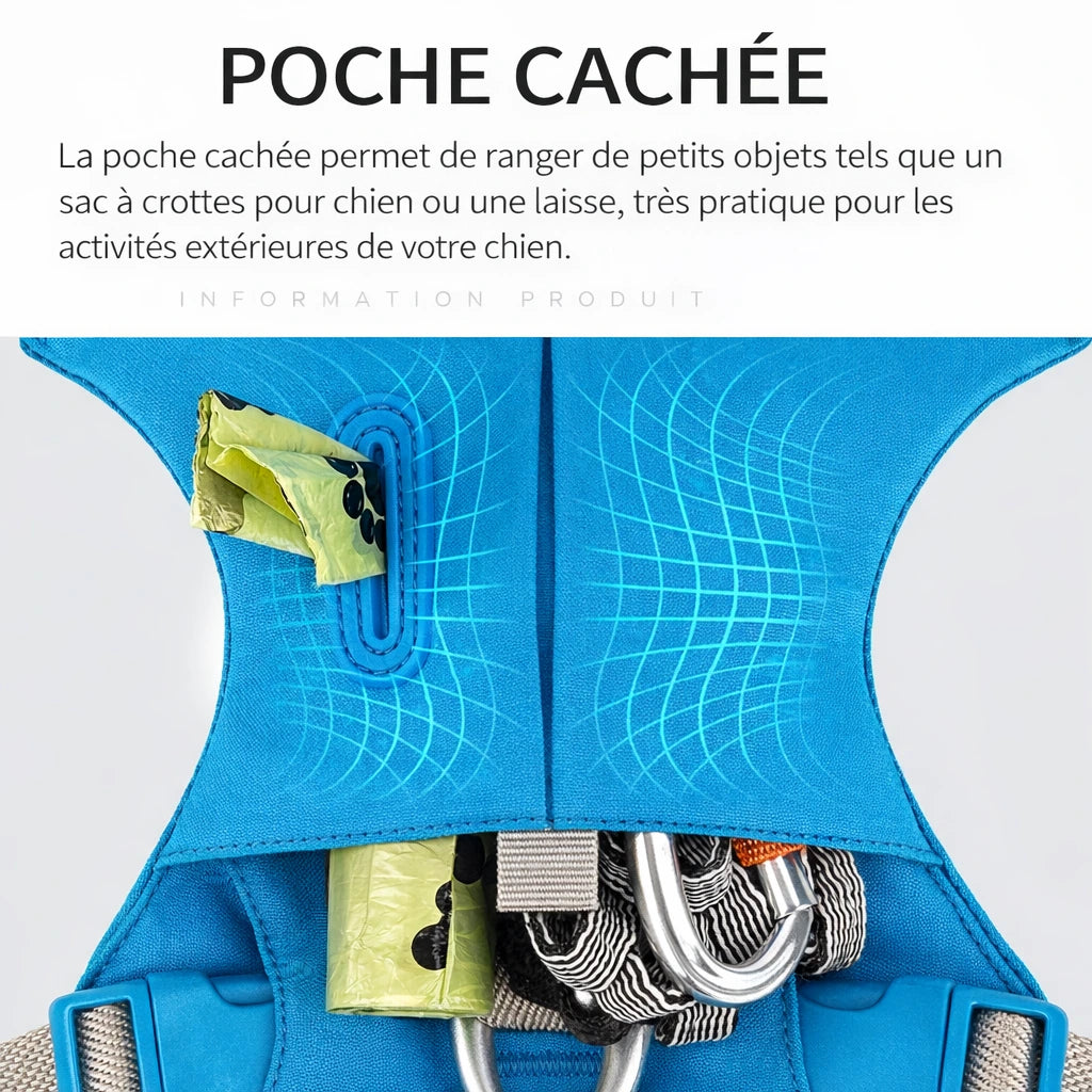 Harnais pour chien - Léger