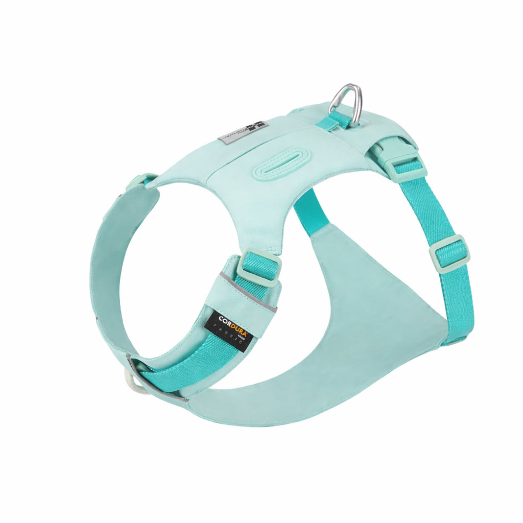 Harnais pour chien bleu turquoise