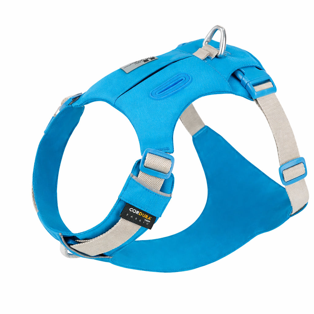 harnais pour chien bleu