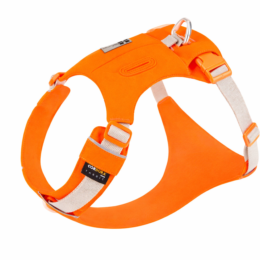 Harnais pour chien orange 