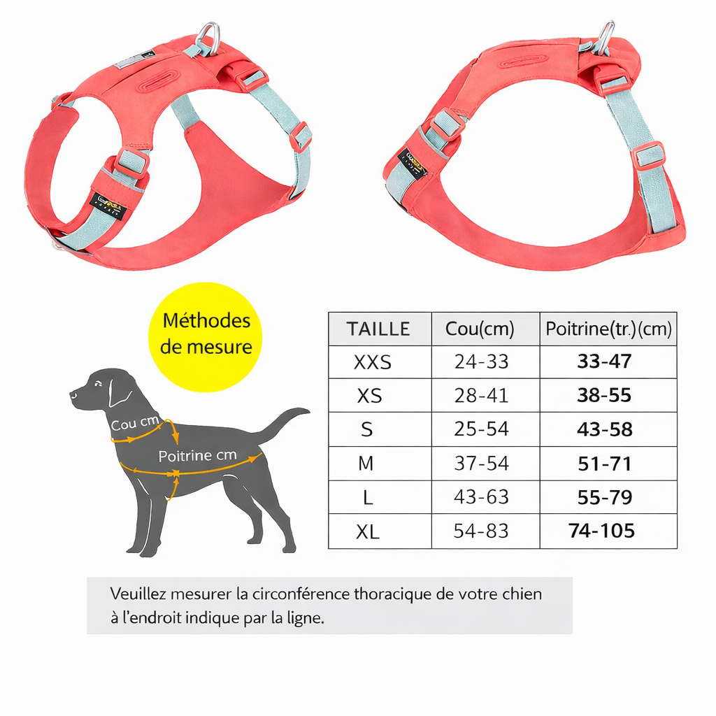 Harnais pour chien - Léger