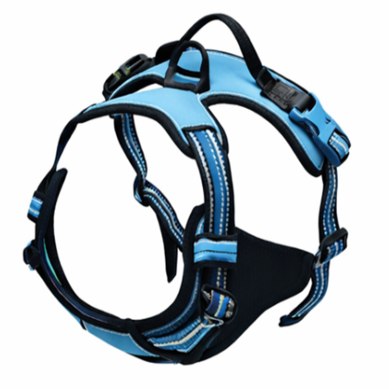 harnais bleu sur fond blanc 