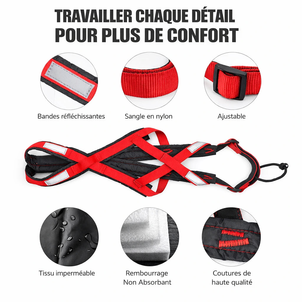 Harnais pour chien canicross