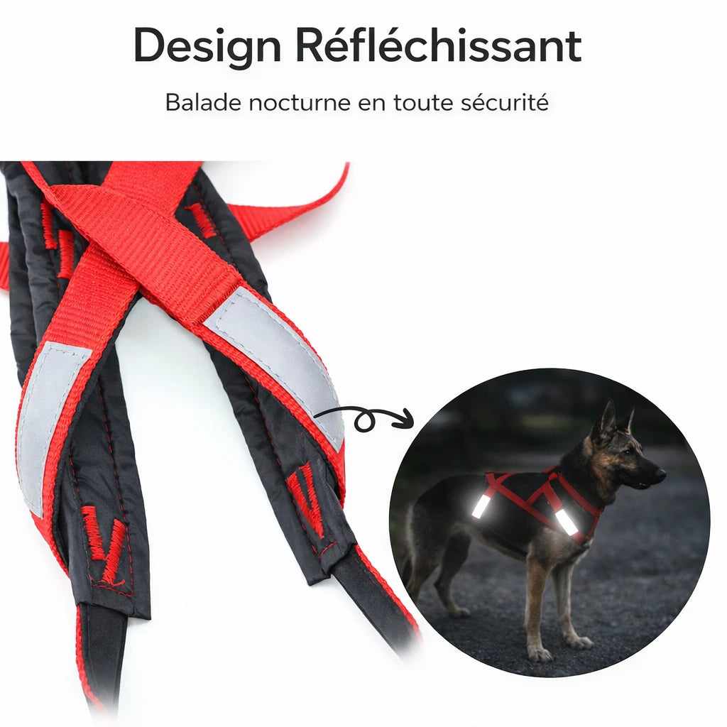 Harnais pour chien canicross