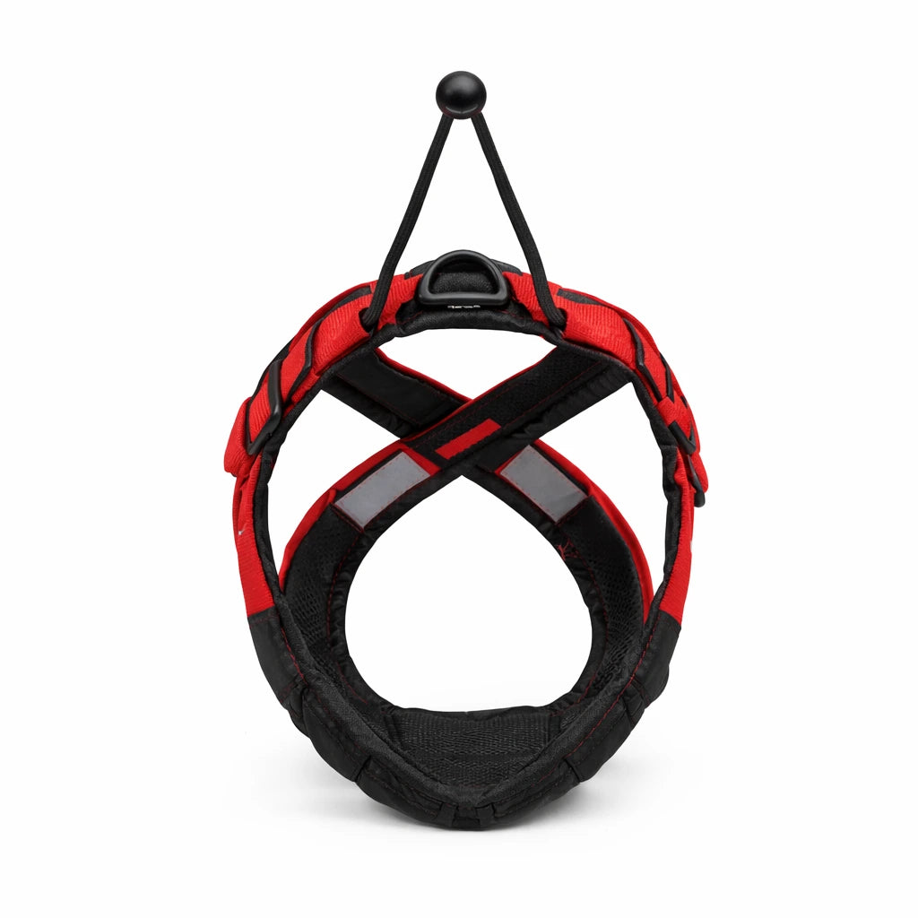 Harnais pour chien canicross