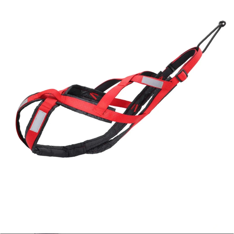 Harnais pour chien canicross