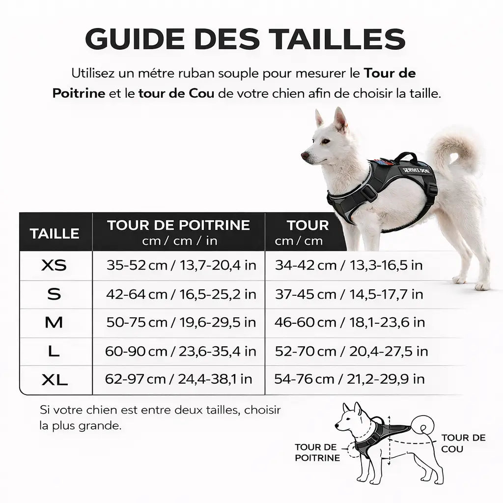 Harnais pour chien randonnée - Avec système de maintien renforcé